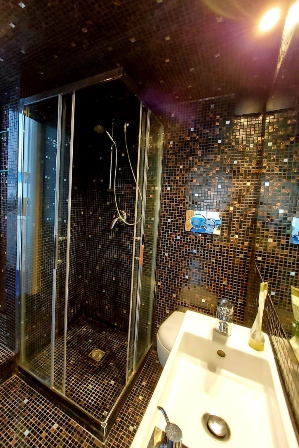 Appartement 2 ch, jardin privé exotique à Rapallo - Photo 38