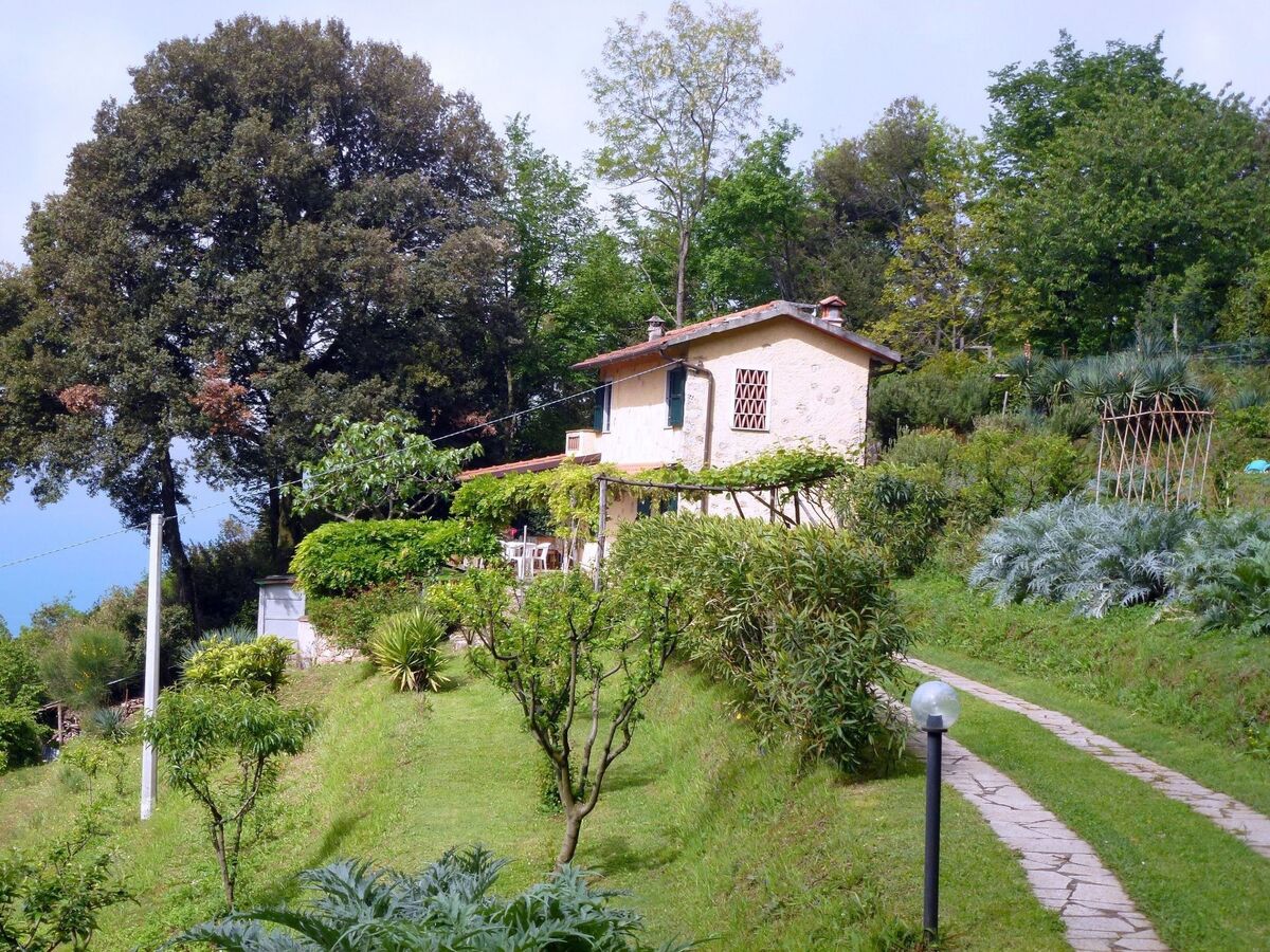 Il Leccio, maison Toscane avec vue mer à Capriglia - Photo 8