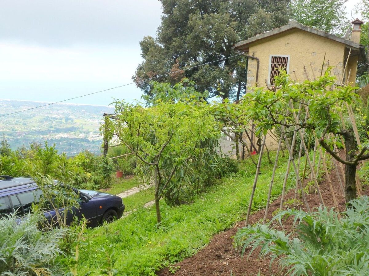 Il Leccio, maison Toscane avec vue mer à Capriglia - Photo 13