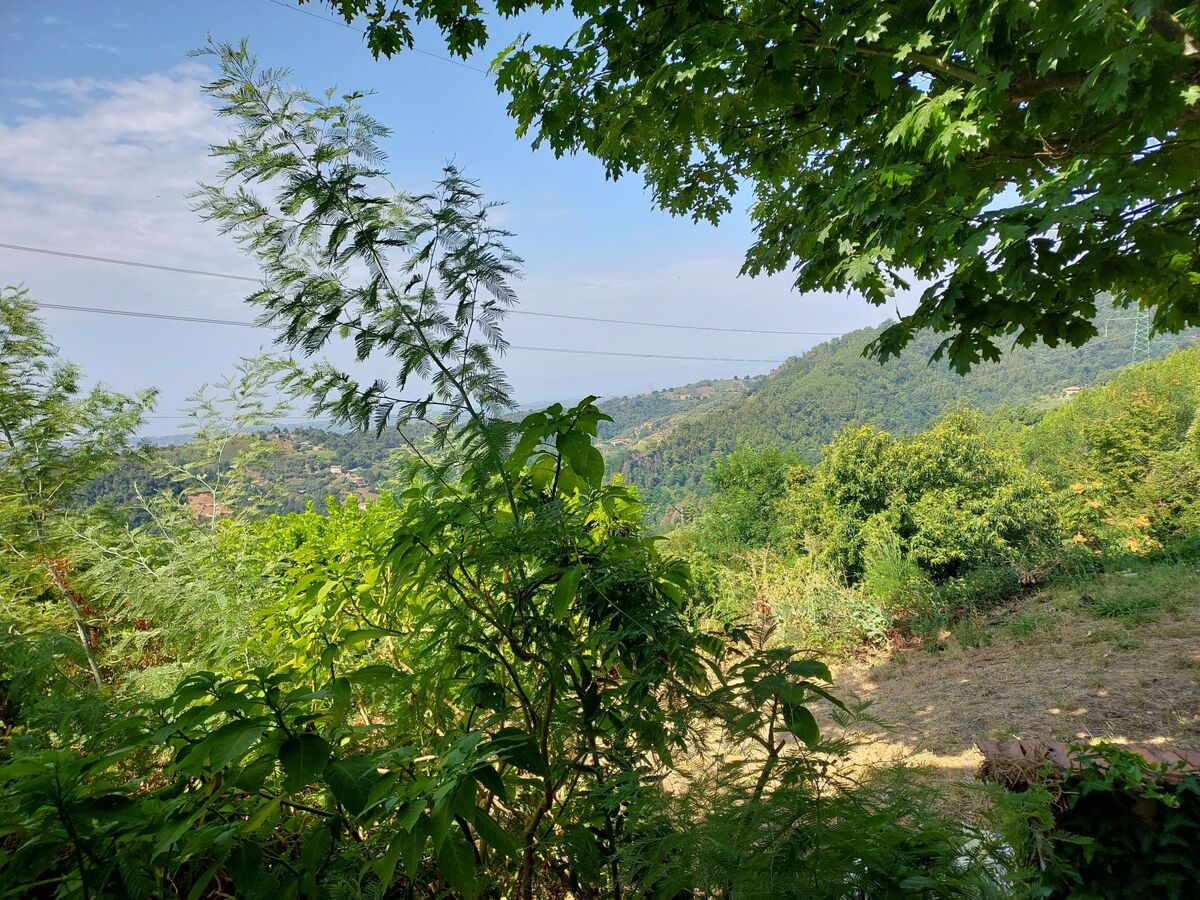 Casa Peppina – Appartement 4 pers. vue panoramique - Photo 17