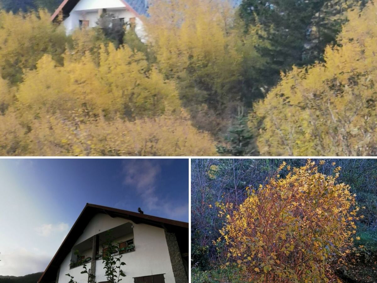 Appartement Sturla Valley avec jardin et barbecue - Photo 1