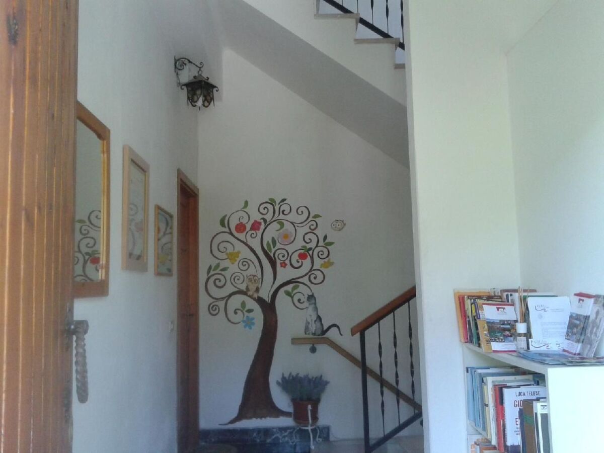 Maison 12 pers. dans le parc Aveto, nature intacte - Photo 6