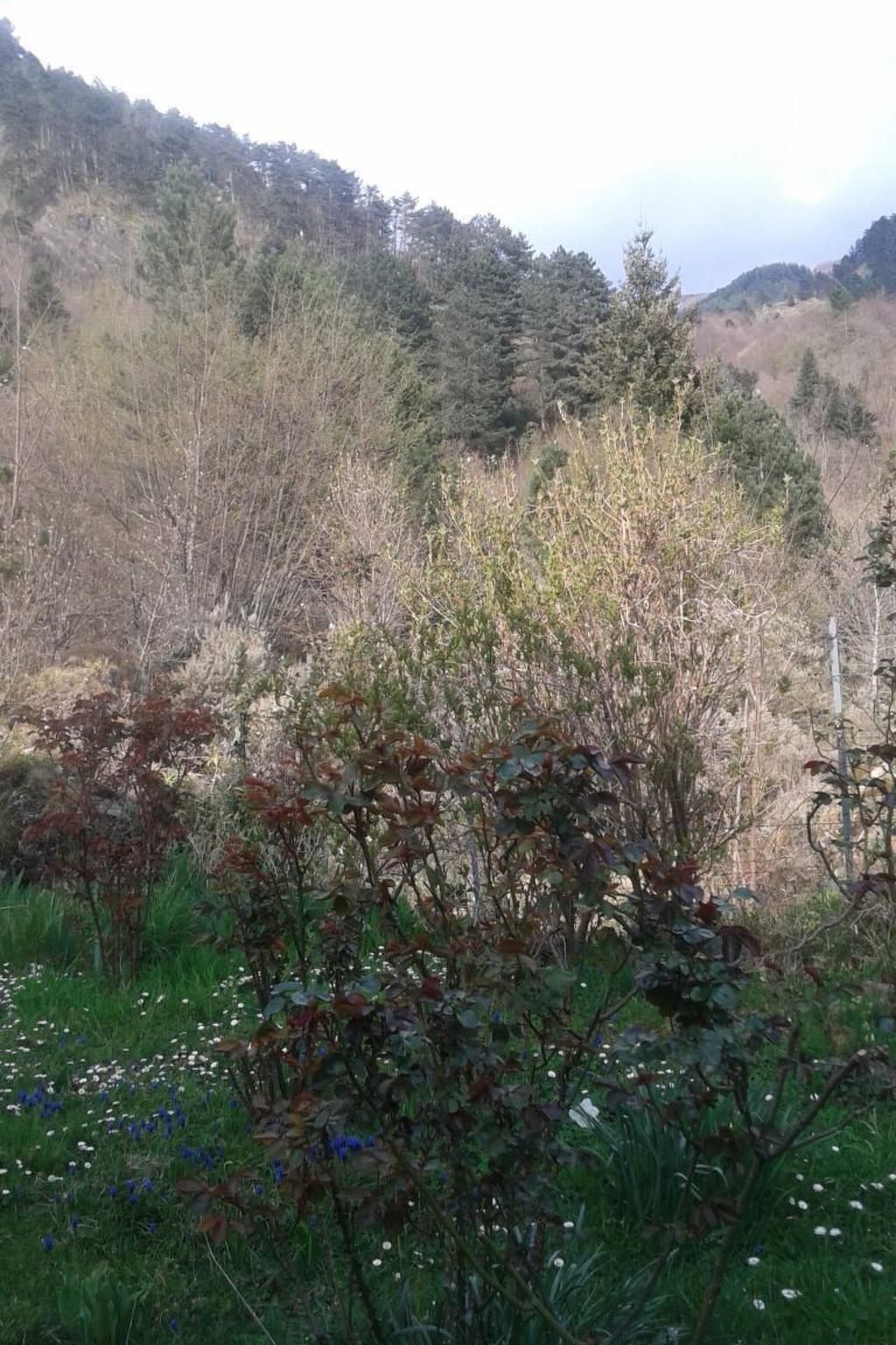 Maison 12 pers. dans le parc Aveto, nature intacte - Photo 16