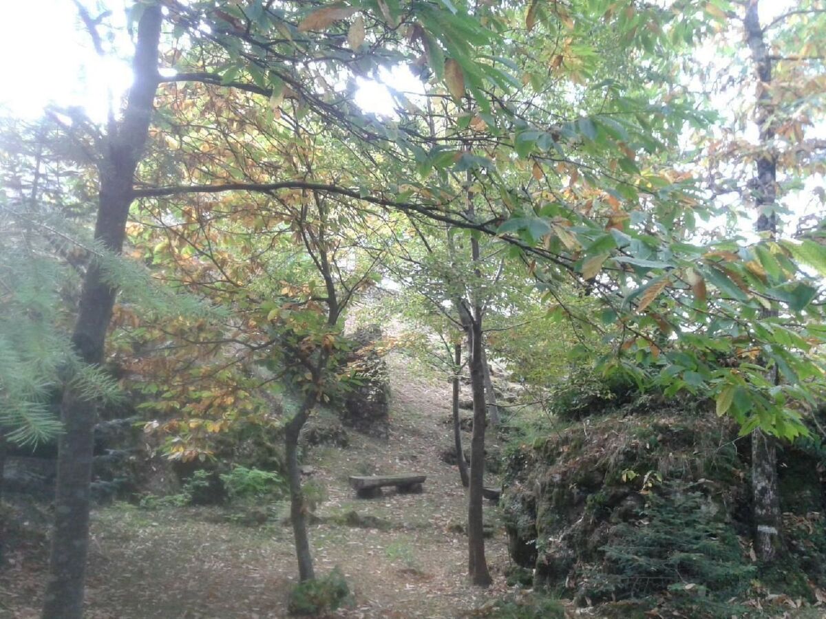 Maison 12 pers. dans le parc Aveto, nature intacte - Photo 18