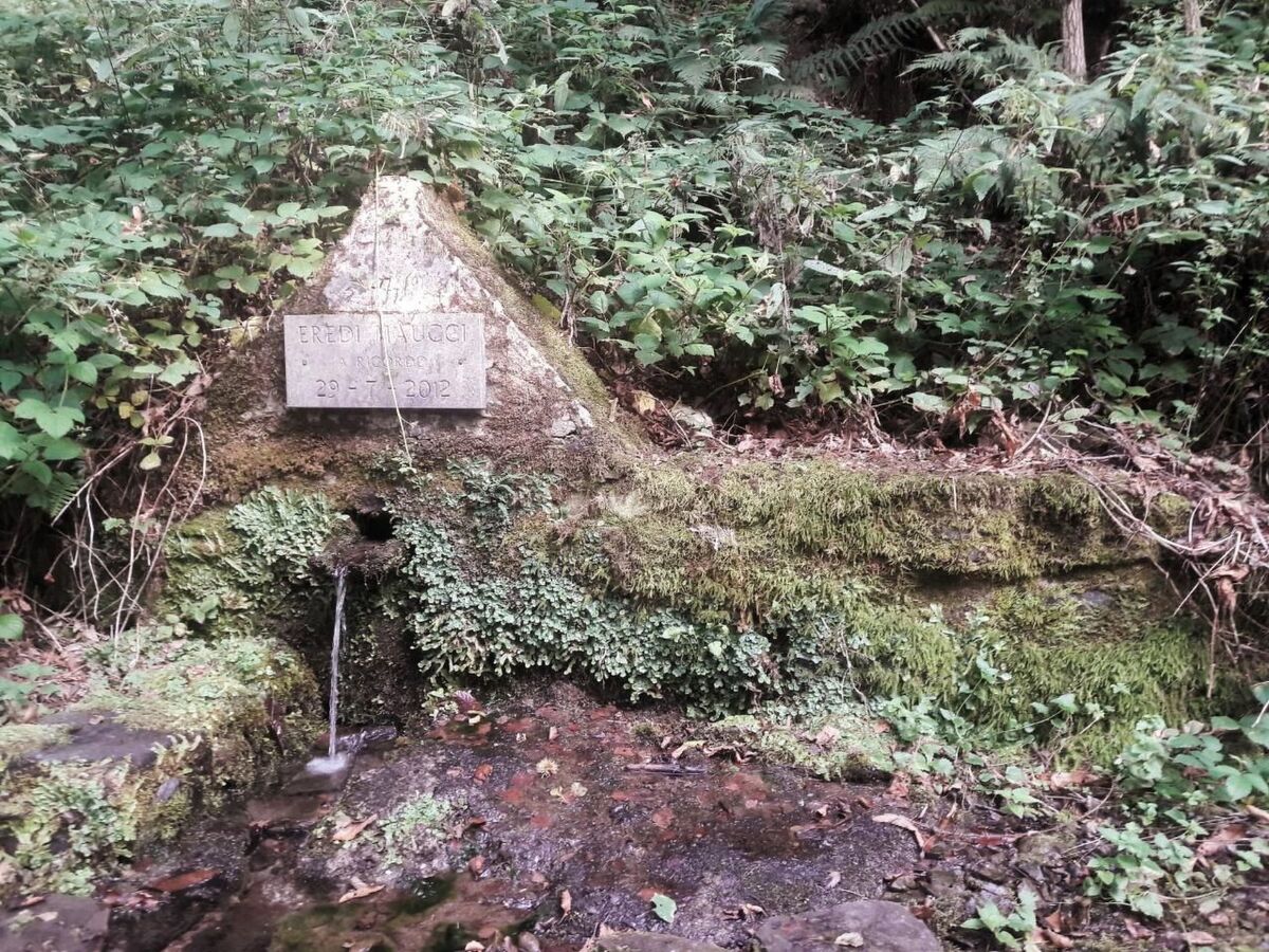 CasaMasa' : Maison avec piscine et vue montagne - Photo 33