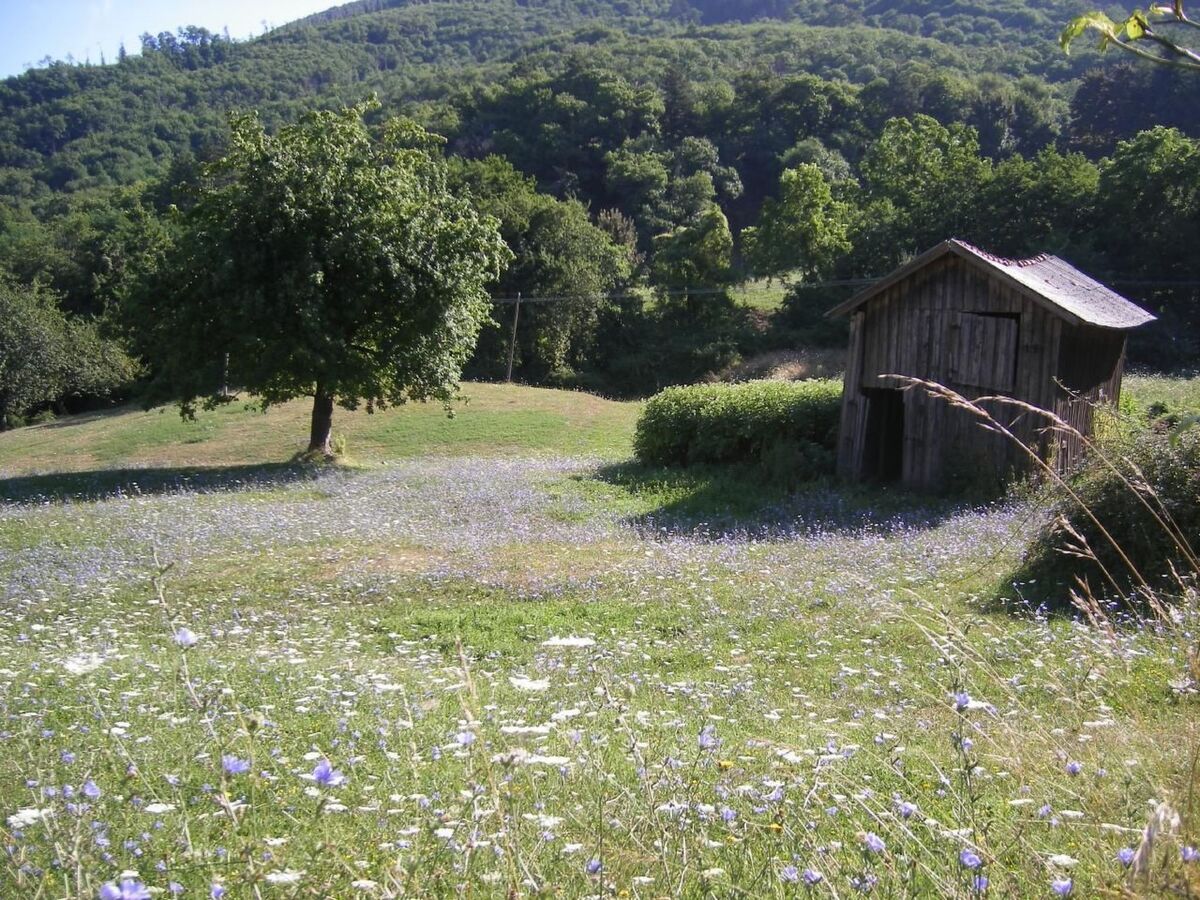 CasaMasa' : Maison avec piscine et vue montagne - Photo 38