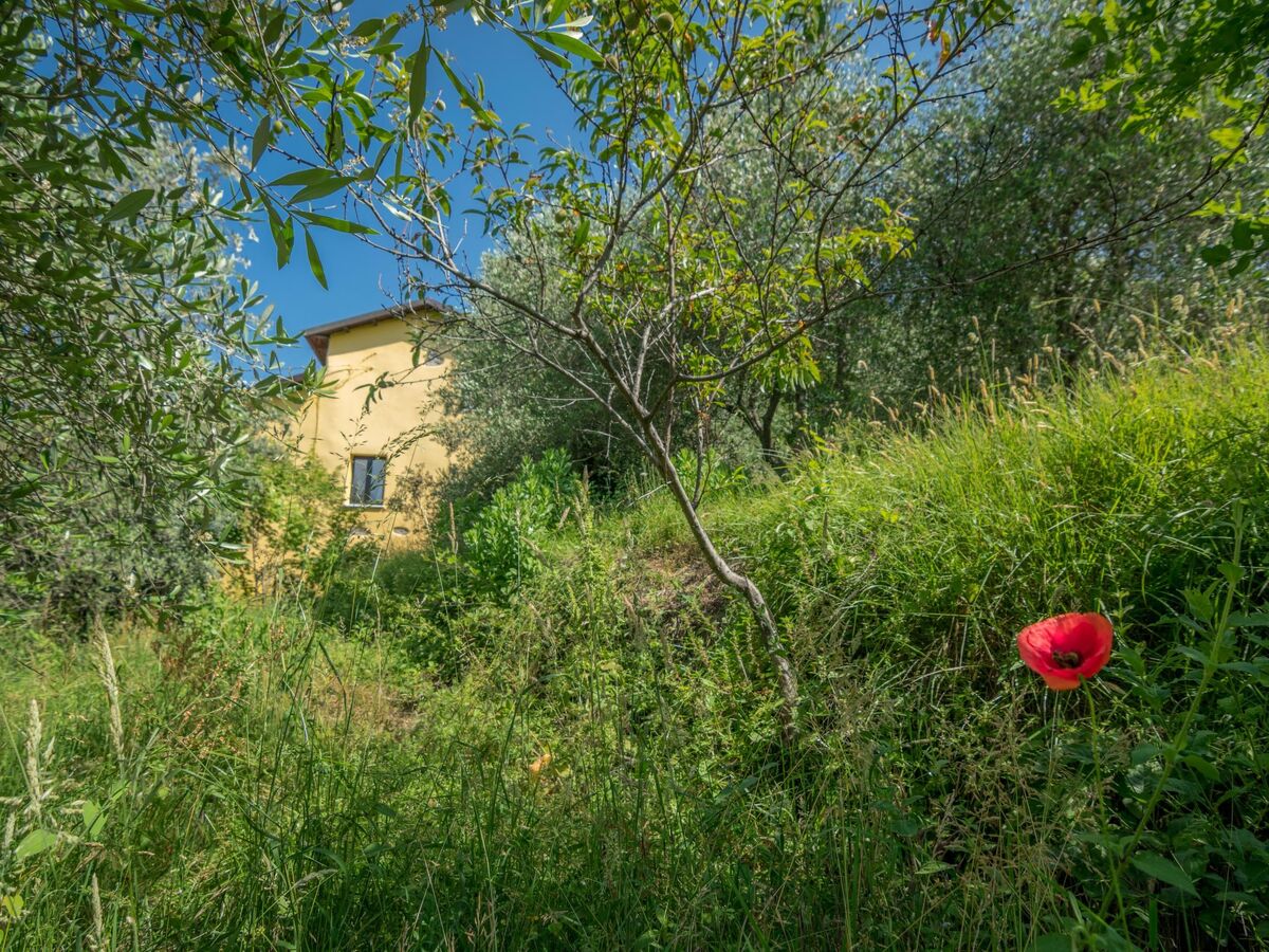 Villa Garibaldino – Maison pierre 1600 avec vue mer - Photo 5