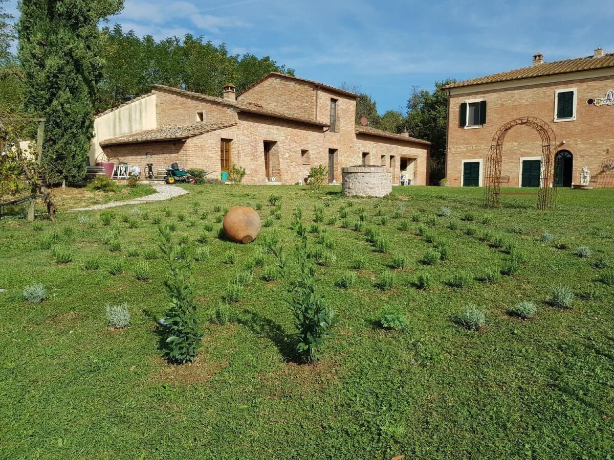 Elefantino, appartement 1 chambre à Abbadia - Photo 1