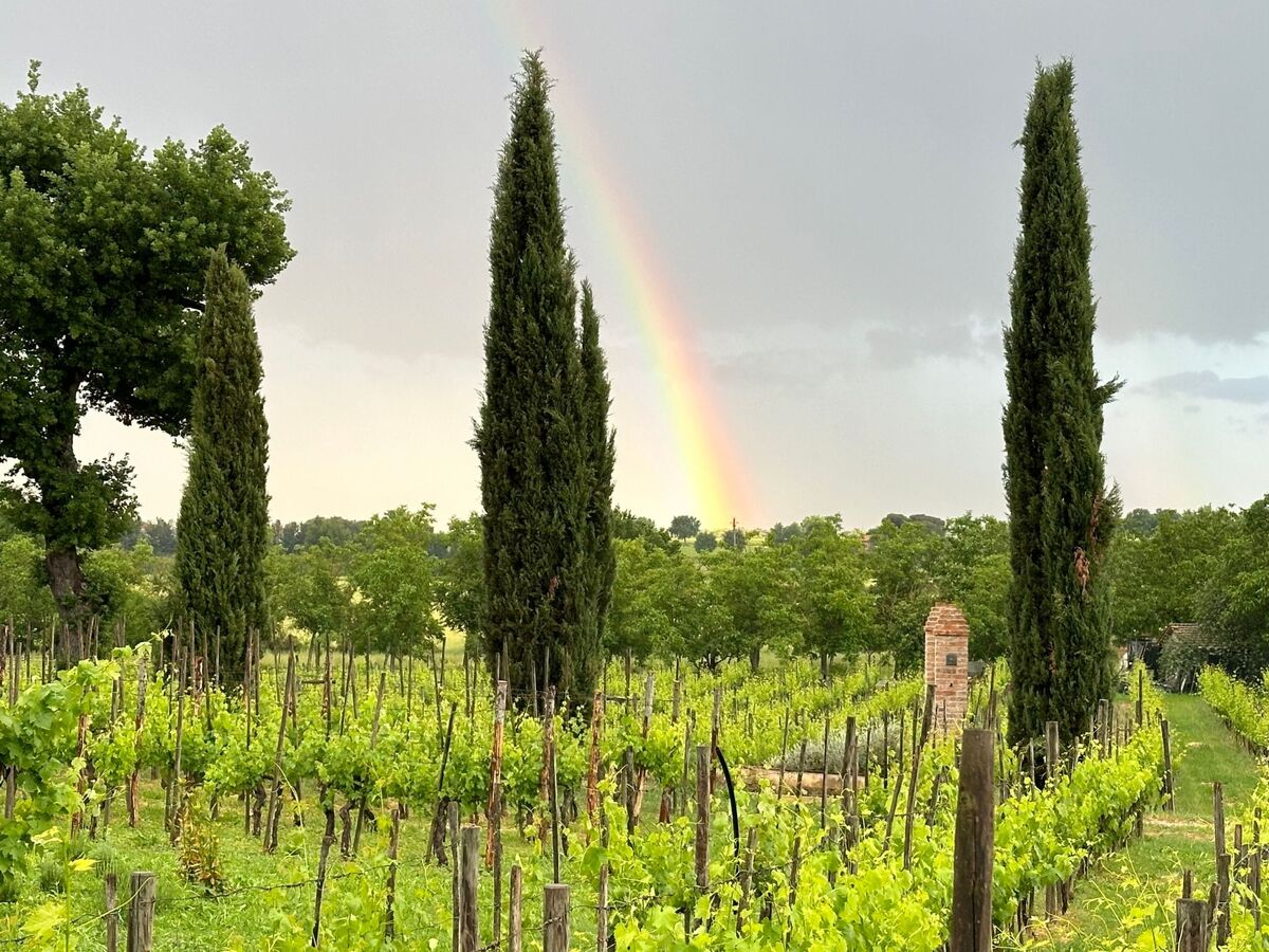Apartment Vigneto, maison accessible en Toscane - Photo 12