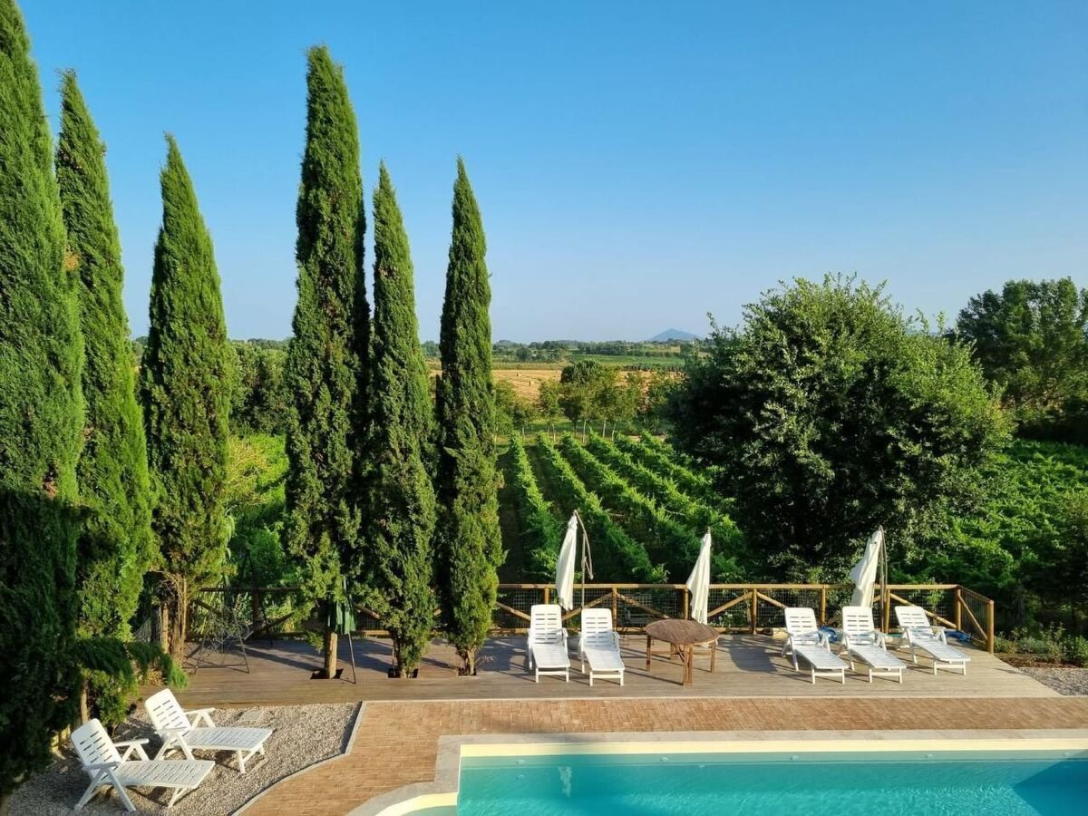 Apartment Fornace – 6 pers., piscine et jardin en Toscane - Photo 5
