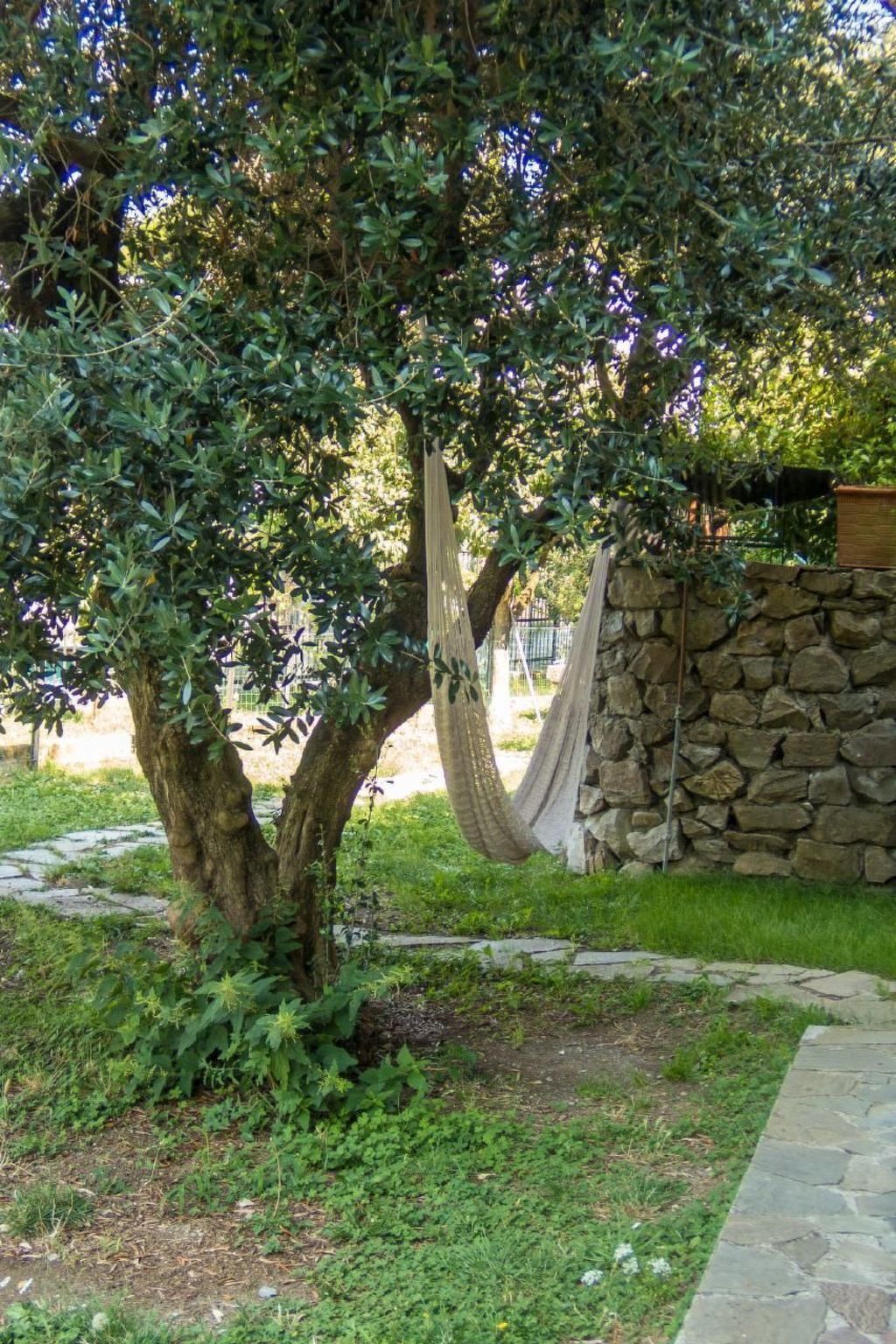 Studio avec jardin et barbecue à Casarza Ligure - Photo 16