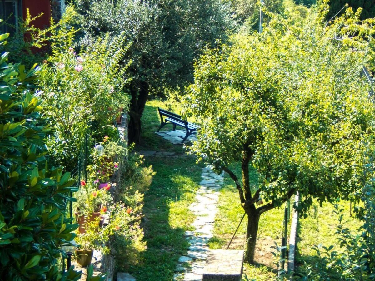 Studio avec jardin et barbecue à Casarza Ligure - Photo 24