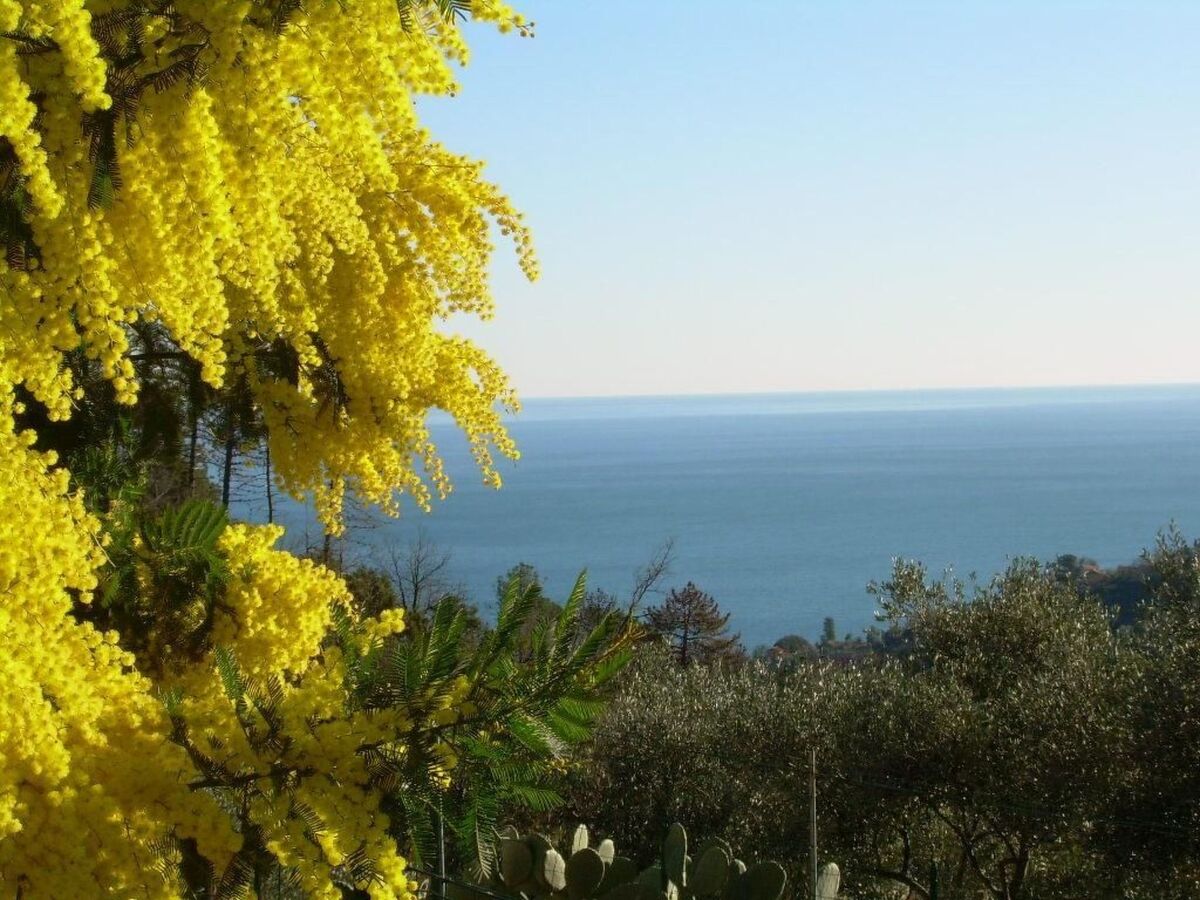 Appartement avec terrasse vue mer à Casarza Ligure - Photo 20