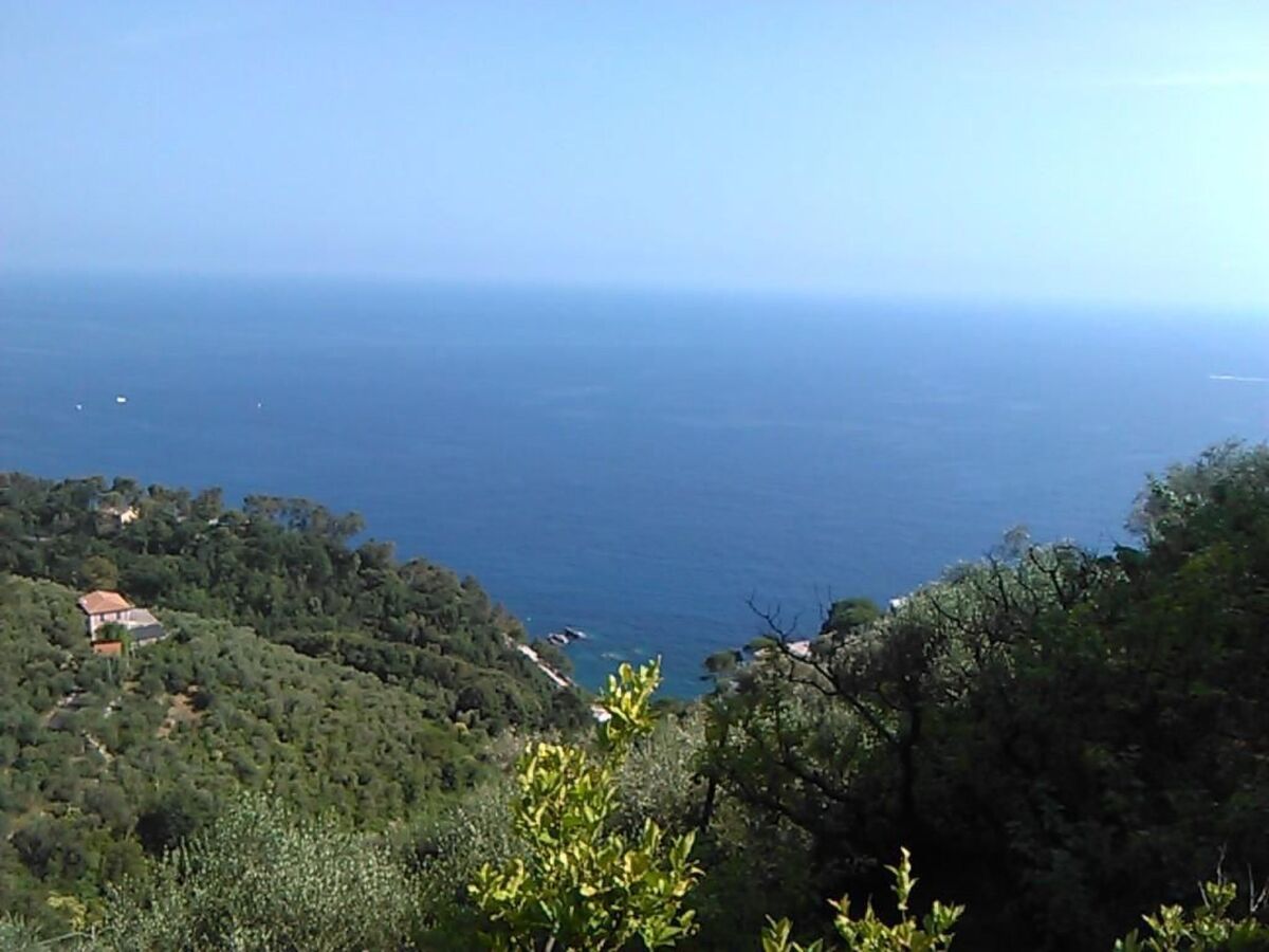 Appartement avec terrasse vue mer à Casarza Ligure - Photo 22