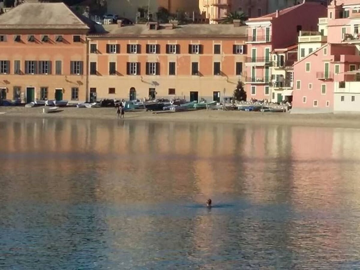 Mansarda Lina : Appartement terrasse face mer à Casarza Ligure - Photo 39