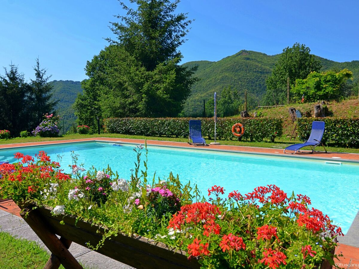 Appartement 2 chambres avec piscine chauffée à Popiglio - Photo 17