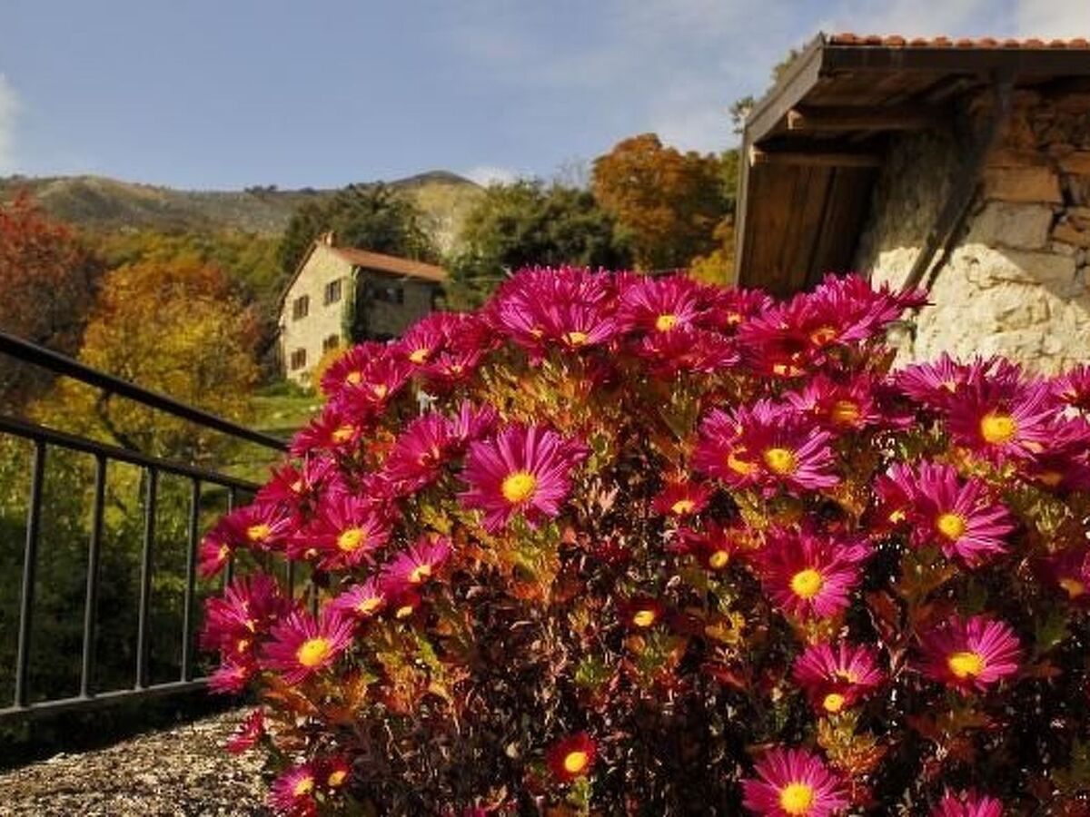 Appartement Sole à Tavarone, ancienne étable rénovée - Photo 4