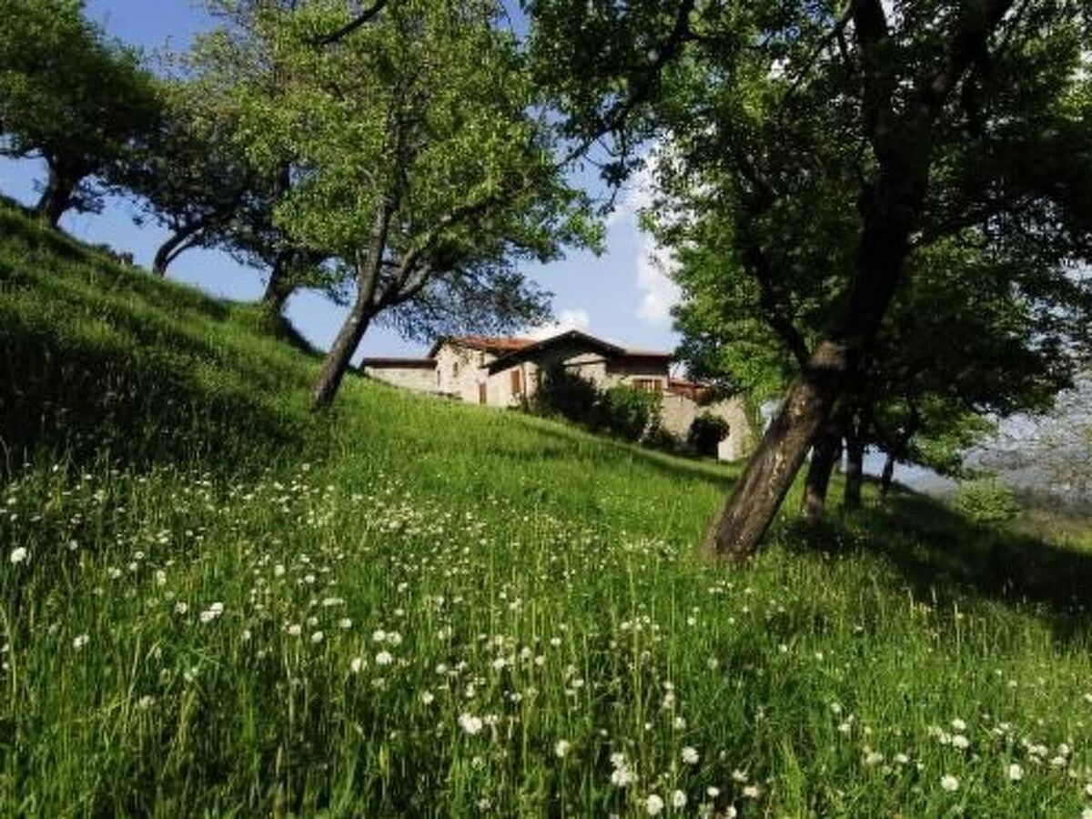 Lumache, appartement en pierre à Tavarone - Photo 30