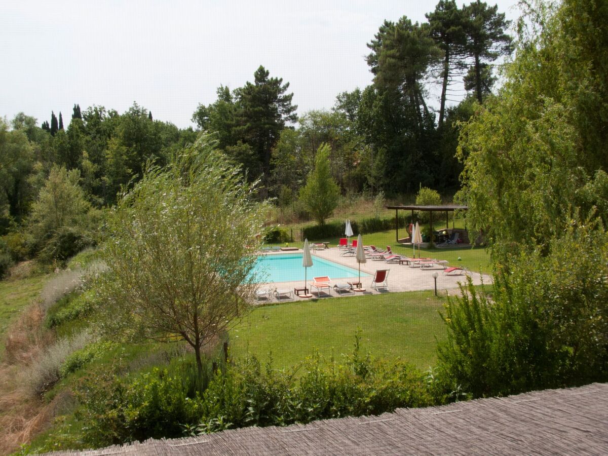 Apartment Rosa Canina, maisonette 4 pers. à Figline Valdarno - Photo 25