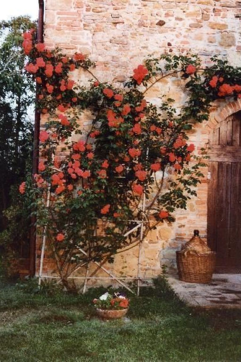 Il Giardino – Appartement 4 pers. en mas du 17e siècle - Photo 18