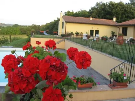 Appartement La Spiga 6 pers. - Terrasse & piscine : photo 13