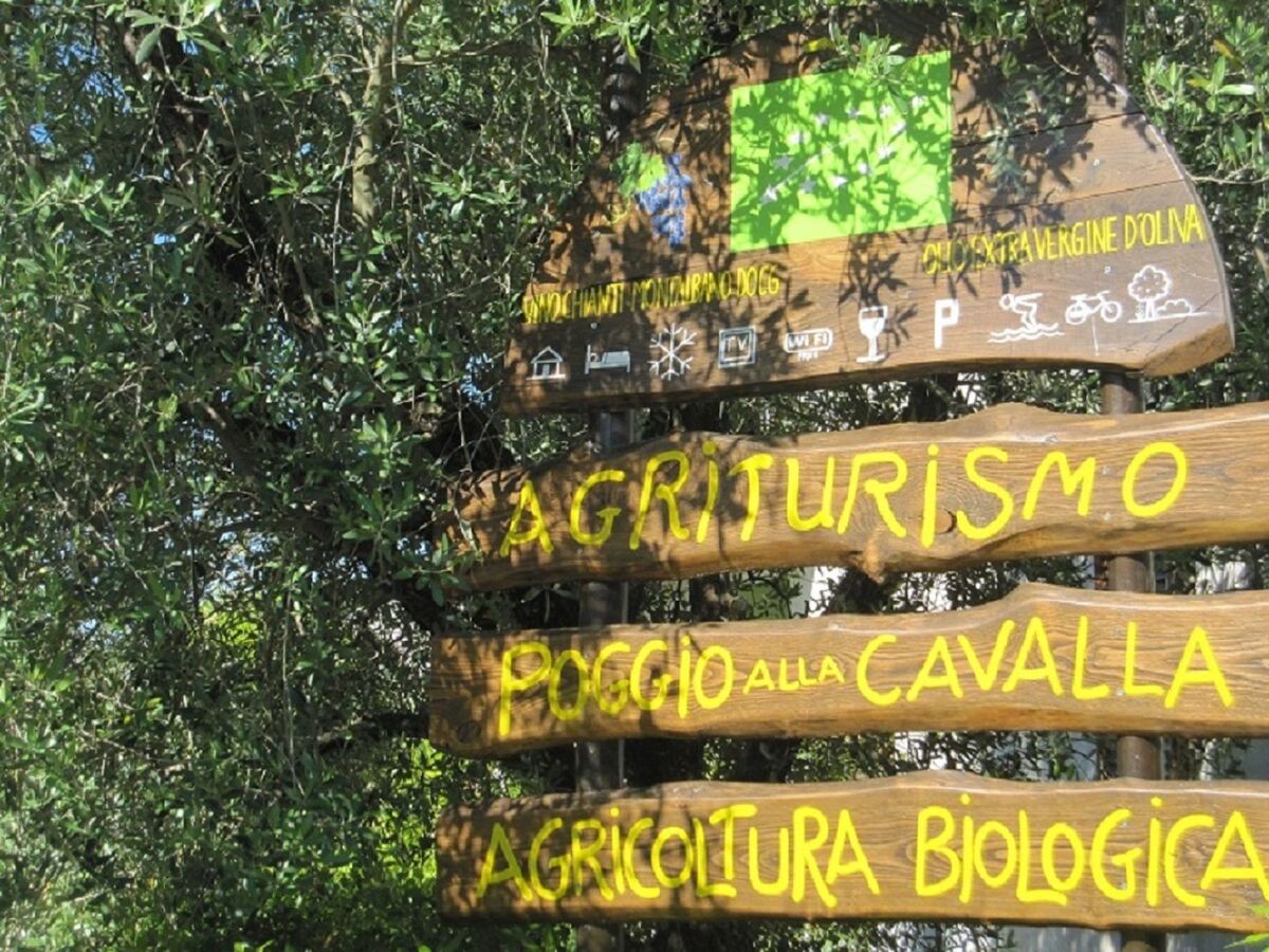 Appartement Agriturismo Poggio alla Cavalla avec piscine - Photo 28