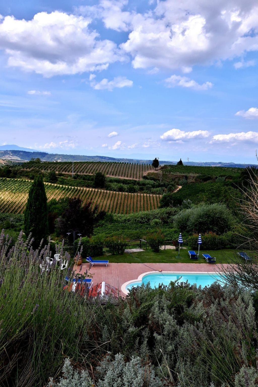 Chambre d'hôte en agriturismo près de Montaione - Photo 2