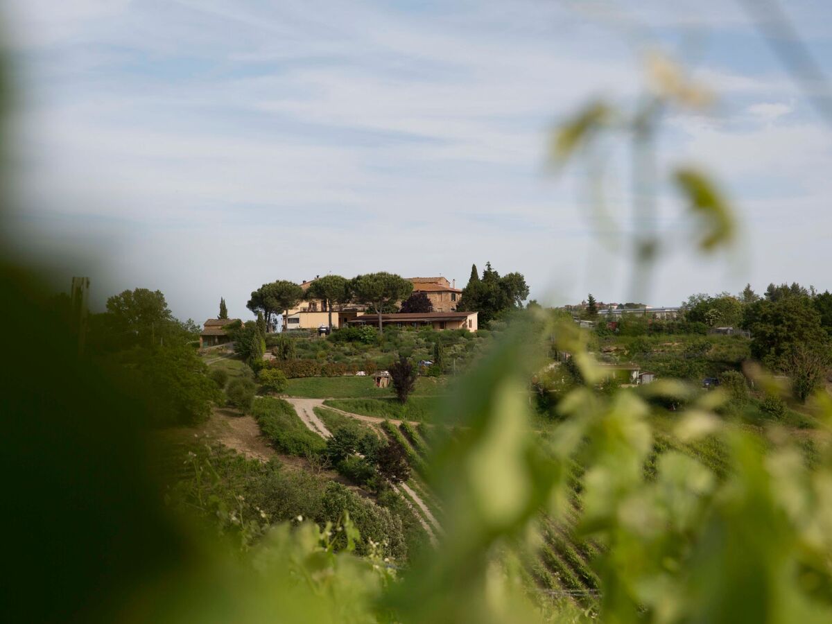 Zimmer La Ginestra - Agriturismo en Toscane - Photo 10