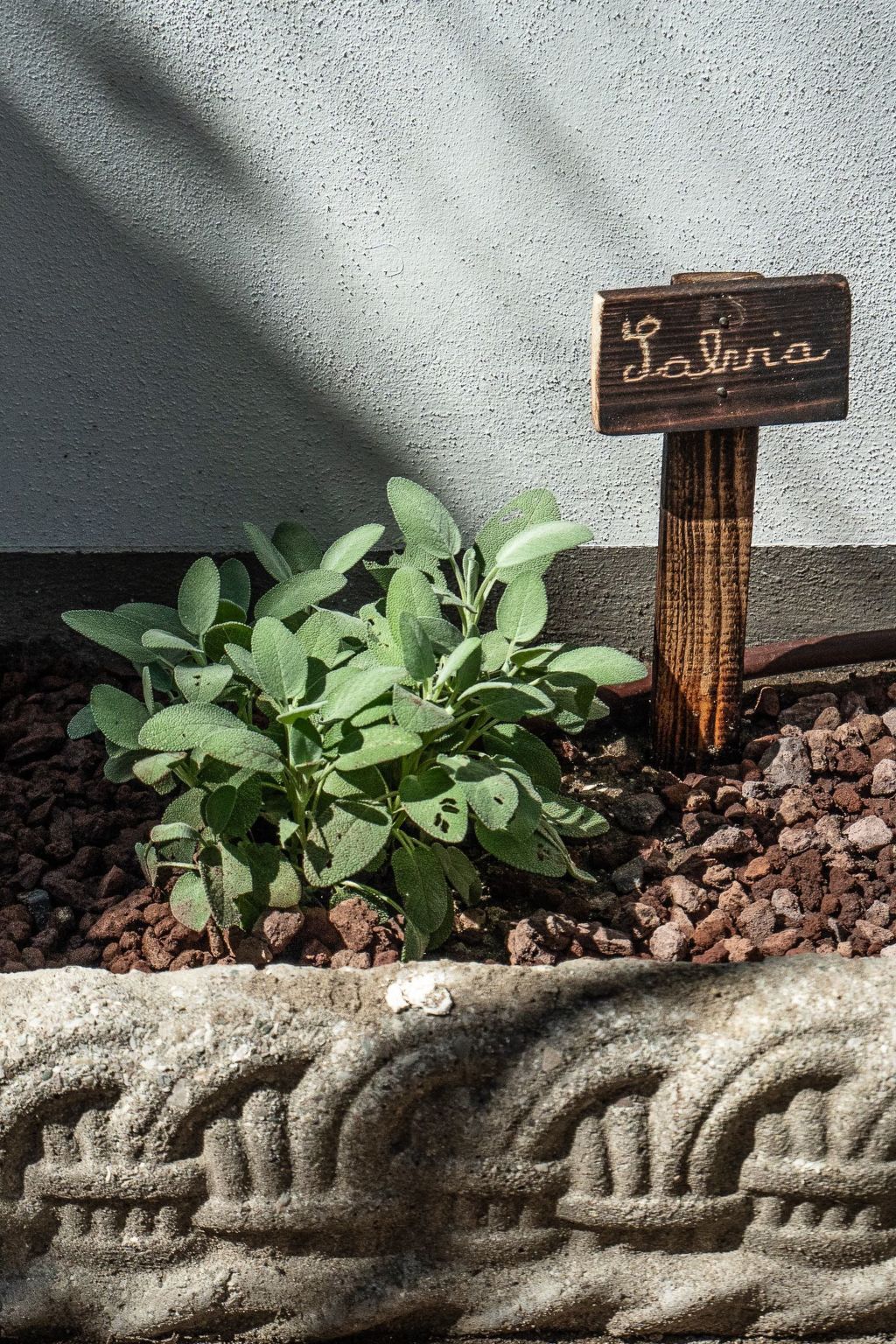 Appartement Marina di Pisa, jardin privatif à 30 m de la mer - Photo 15