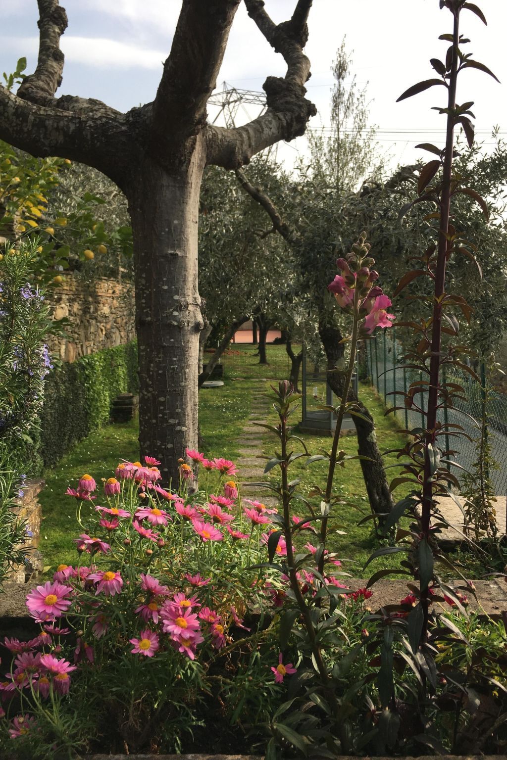 Gelsomini, appartement vue mer à Massa - Photo 29