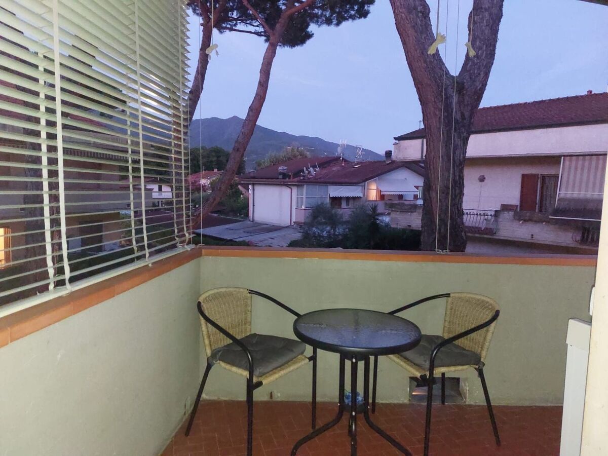 Appartement 1 chambre avec jardin partagé à Massa - Photo 19