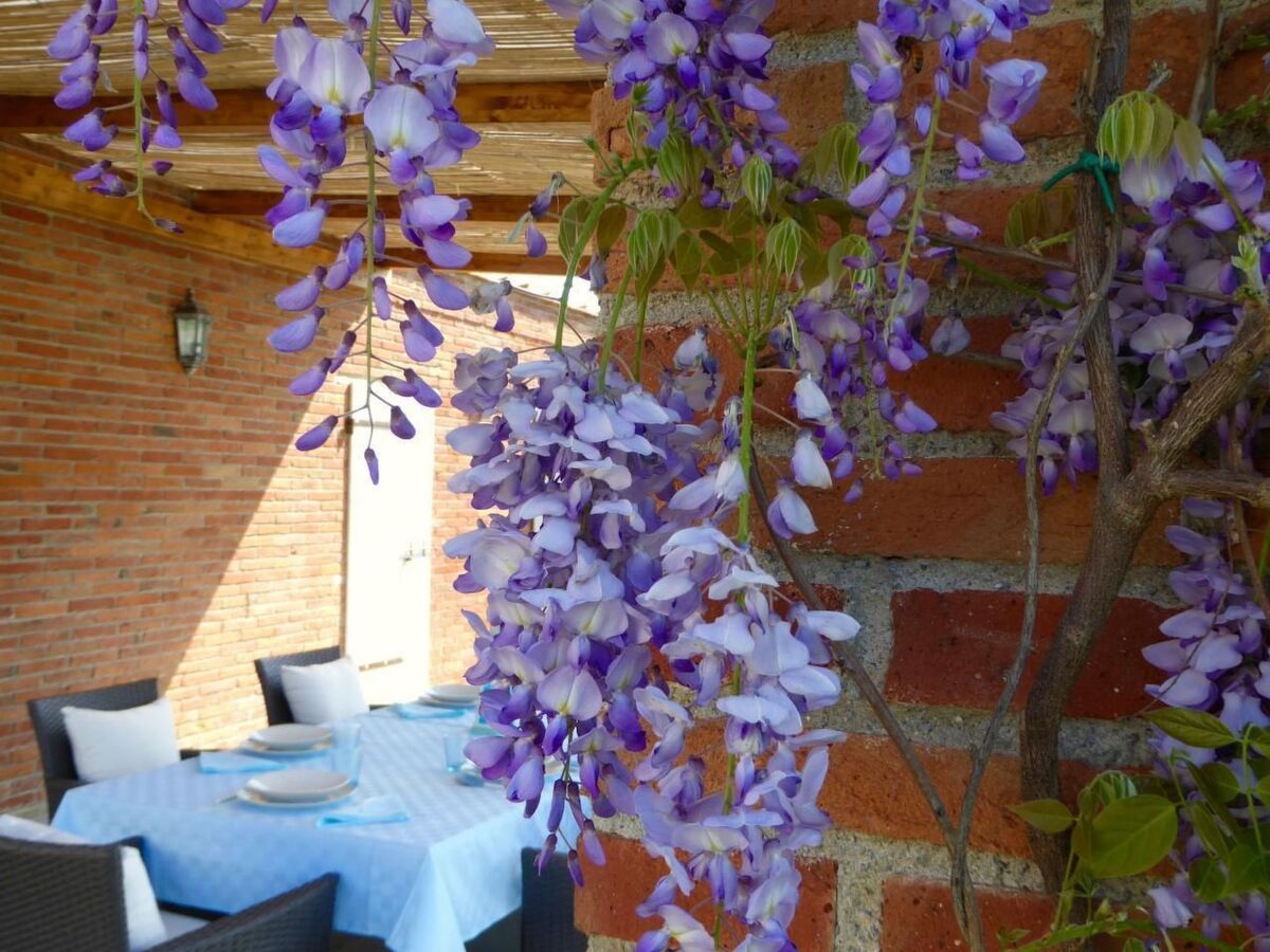 Villa Cerine – Maison Toscane avec piscine privée - Photo 37