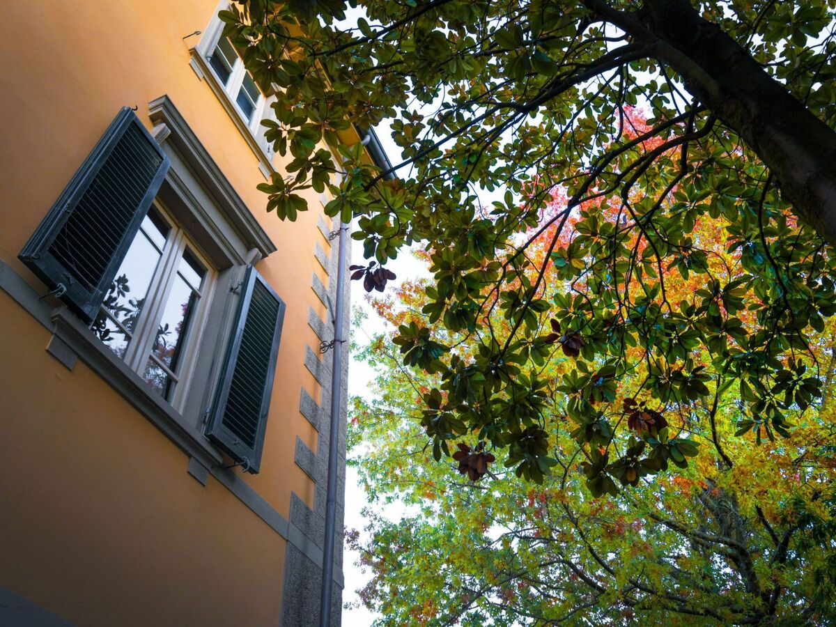 Villa toscane 1840 avec piscine privée, Altopascio - Photo 37