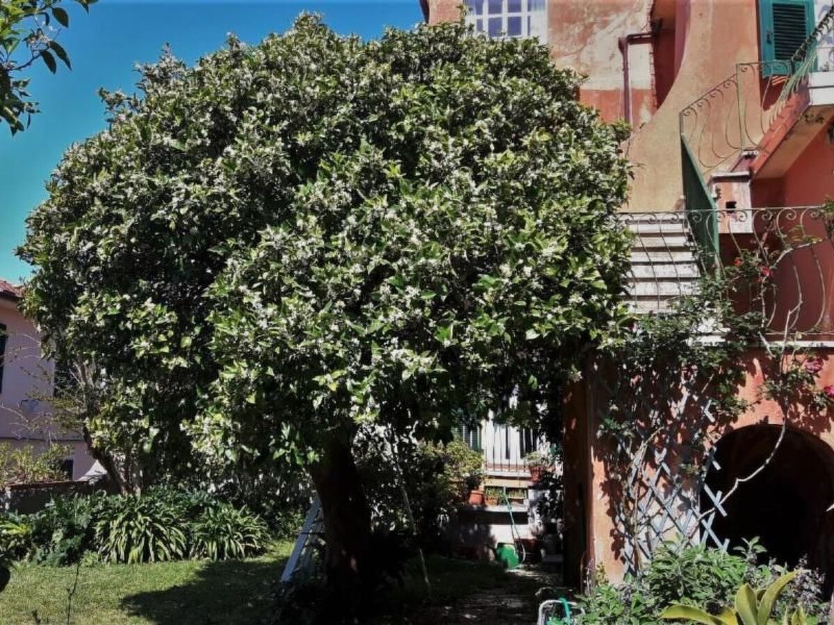 Appartement médiéval avec vue mer à Castelnuovo Magra - Photo 19
