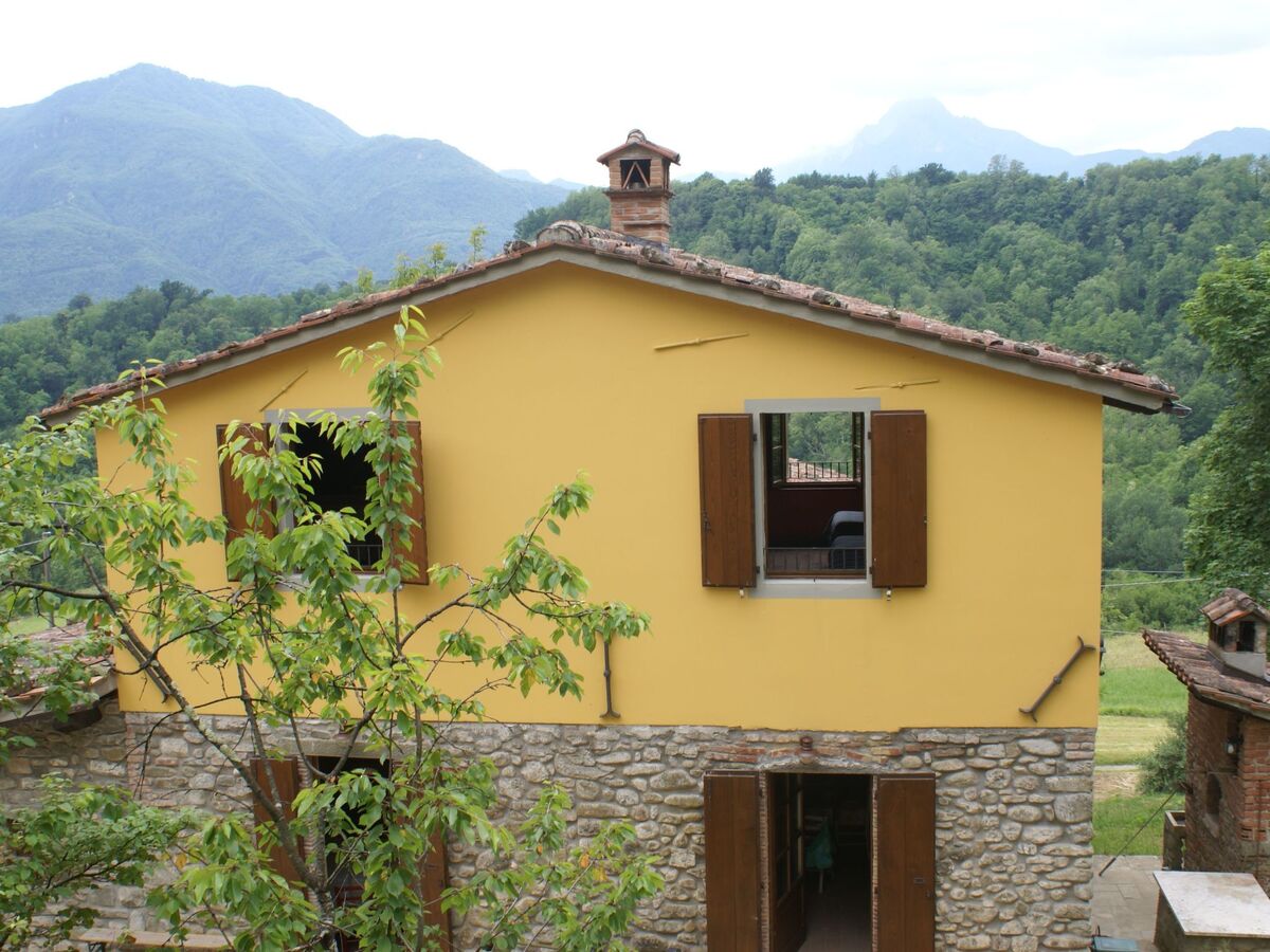 Maison Toscanienne – 16 000 m² d'oliveraies à Barga - Photo 2