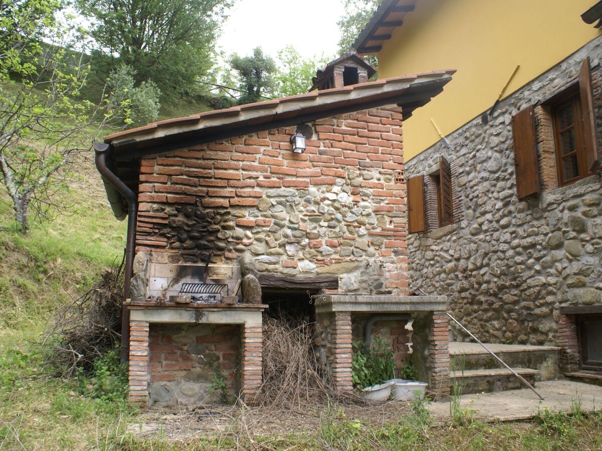 Maison Toscanienne – 16 000 m² d'oliveraies à Barga - Photo 3