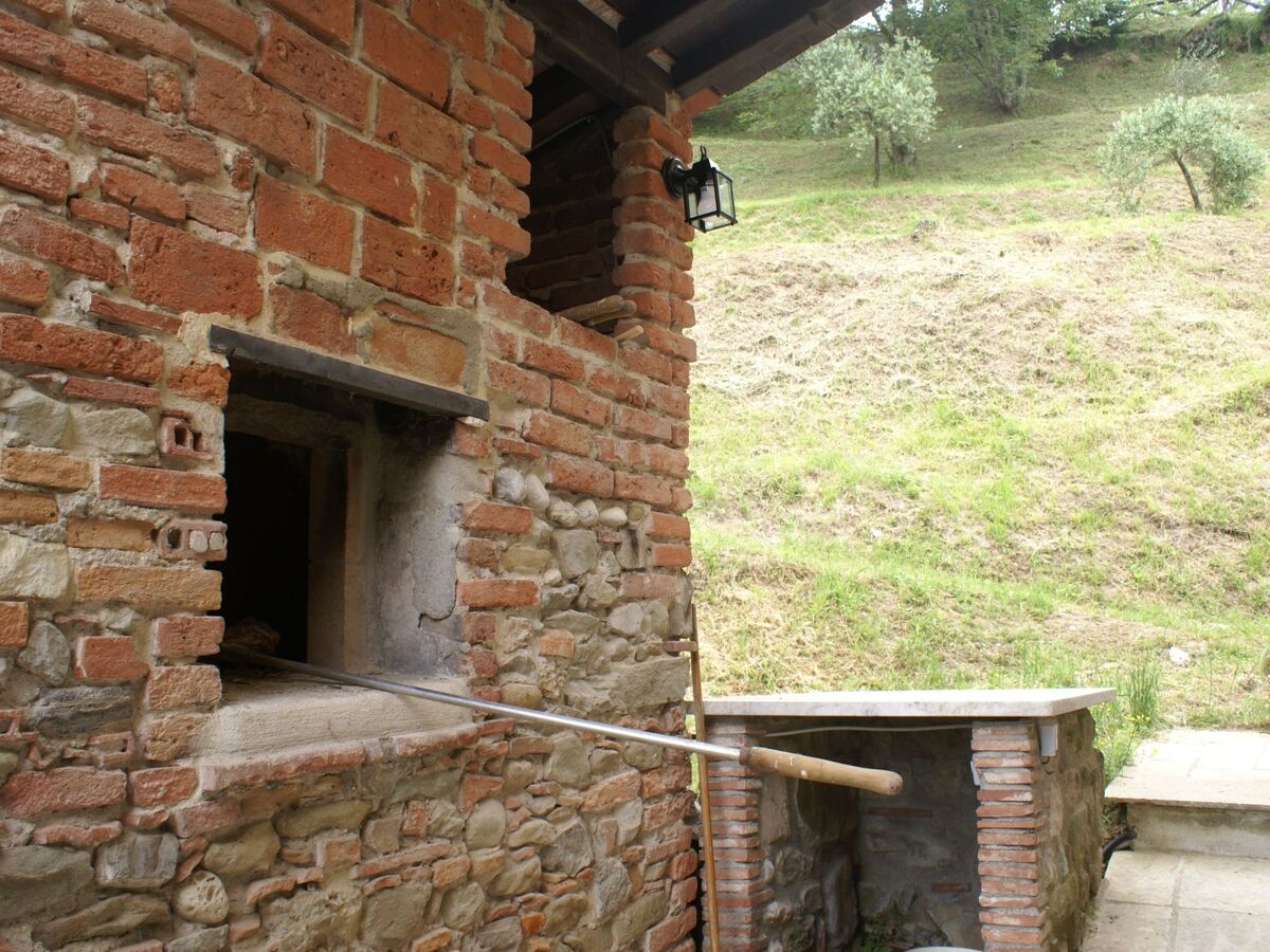 Maison Toscanienne – 16 000 m² d'oliveraies à Barga - Photo 4
