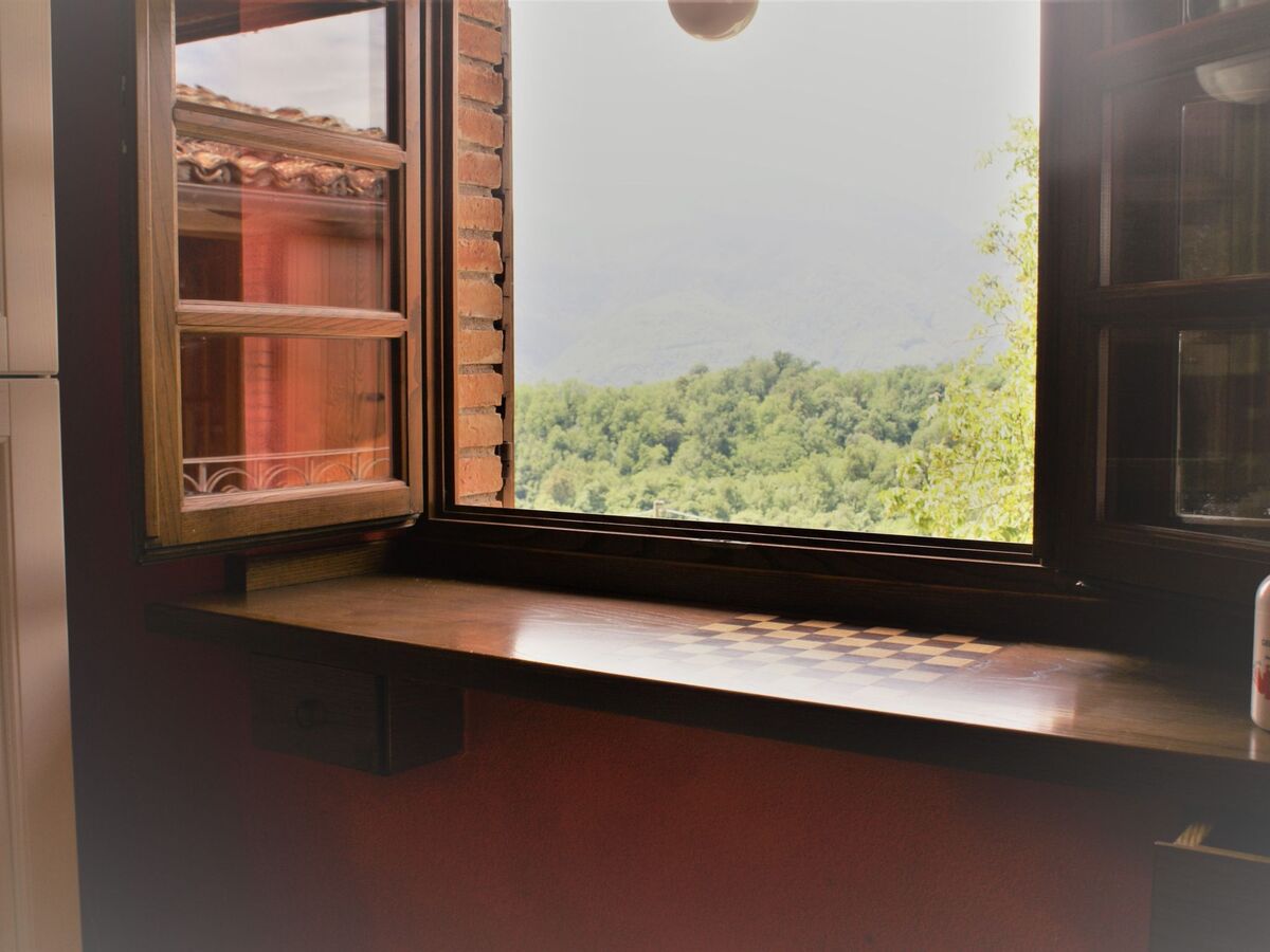 Maison Toscanienne – 16 000 m² d'oliveraies à Barga - Photo 26