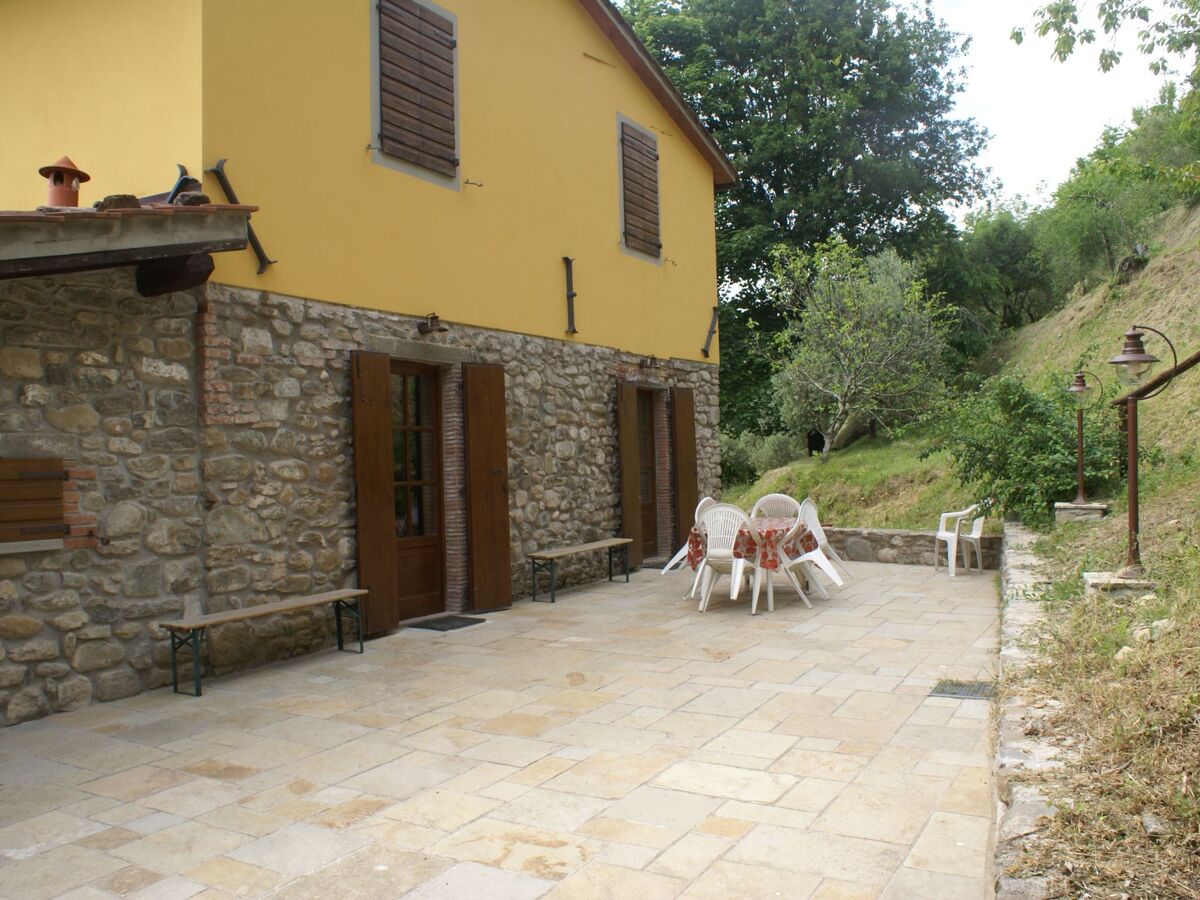 Maison Toscanienne – 16 000 m² d'oliveraies à Barga - Photo 32