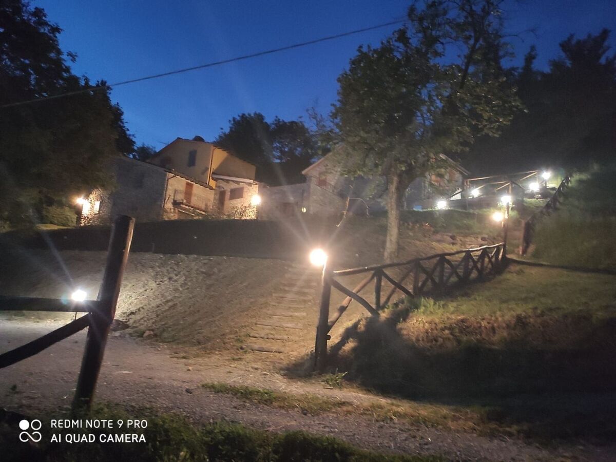 Maison Toscanienne – 16 000 m² d'oliveraies à Barga - Photo 33