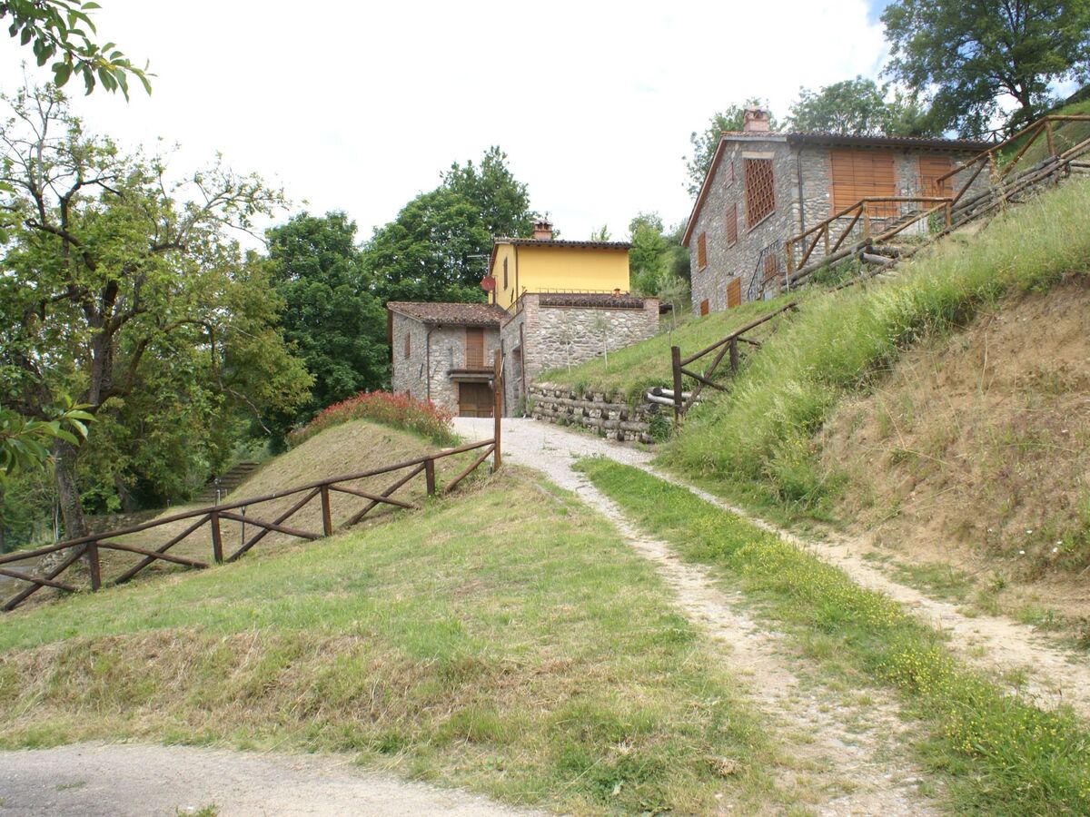 Maison Toscanienne – 16 000 m² d'oliveraies à Barga - Photo 34