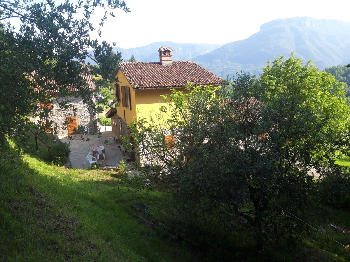 Maison Toscanienne – 16 000 m² d'oliveraies à Barga - Photo 41