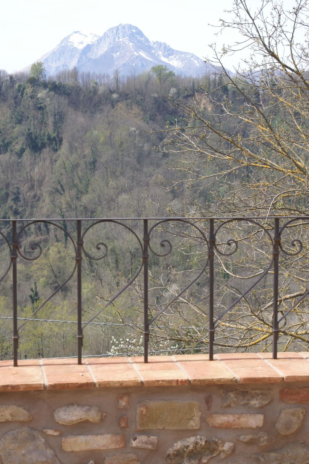Maison Sunset Barga Toskana – 6 pers., olivaie privée - Photo 24
