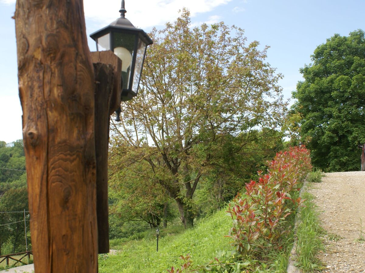 Maison Sunset Barga Toskana – 6 pers., olivaie privée - Photo 32
