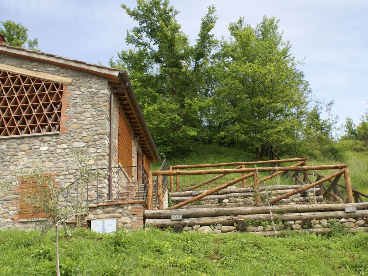 Maison Sunset Barga Toskana – 6 pers., olivaie privée - Photo 33