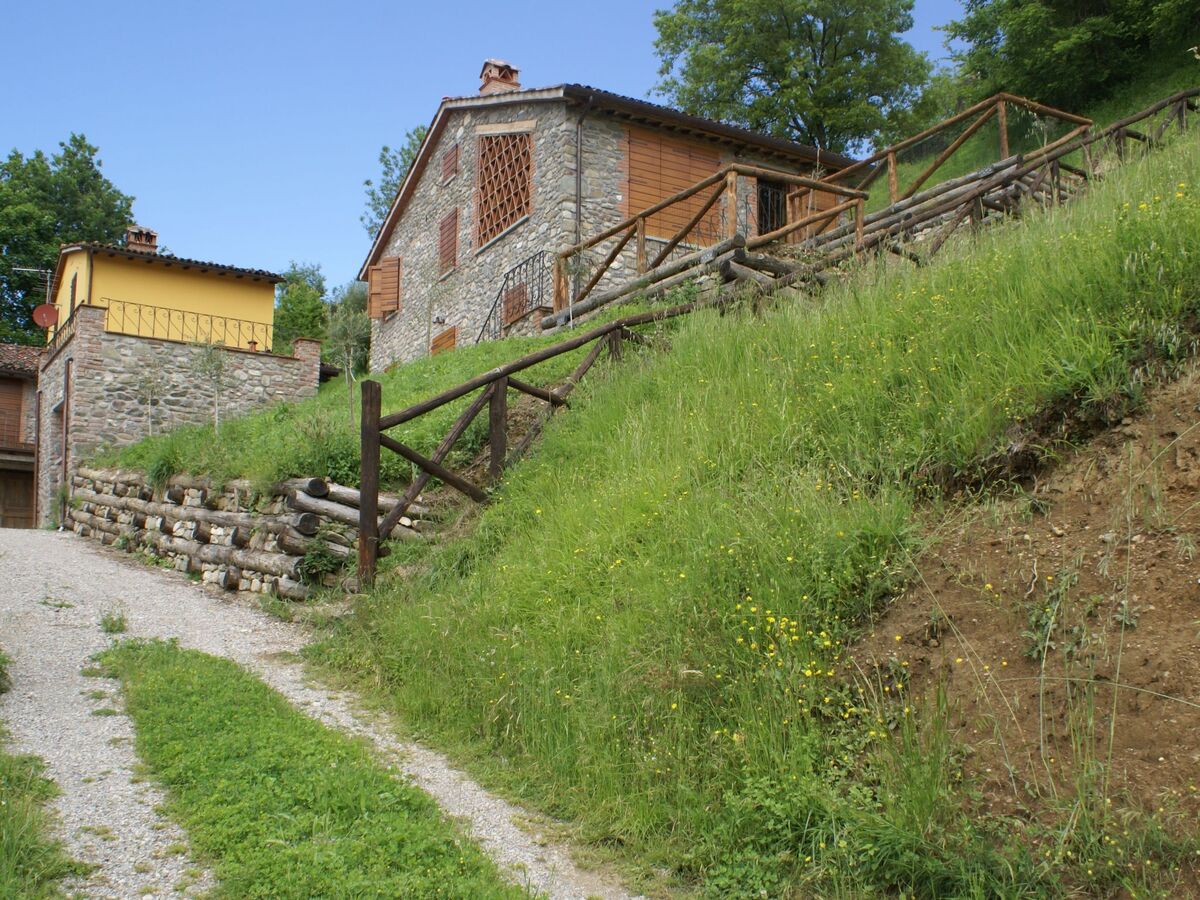 Maison Sunset Barga Toskana – 6 pers., olivaie privée - Photo 35
