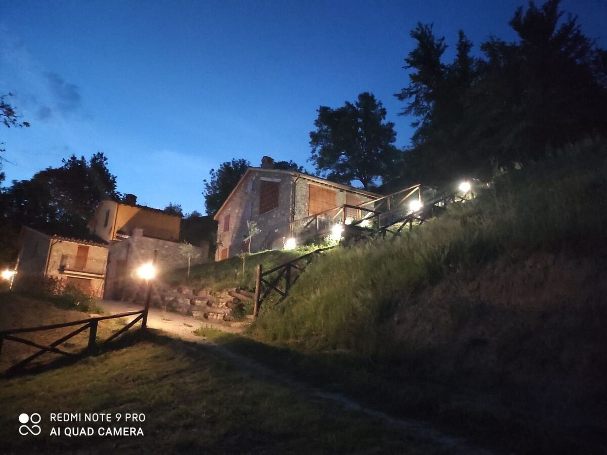 Maison Sunset Barga Toskana – 6 pers., olivaie privée - Photo 38