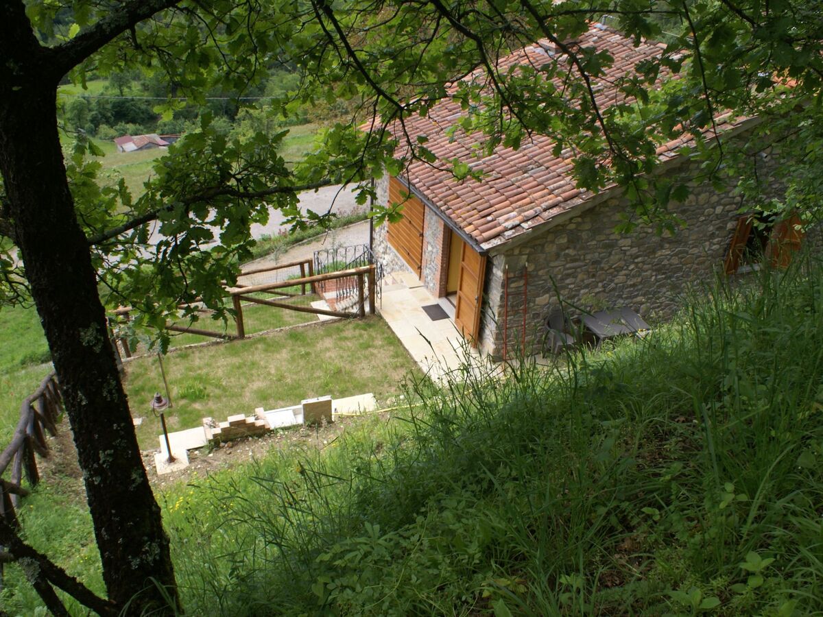 Maison Sunset Barga Toskana – 6 pers., olivaie privée - Photo 39