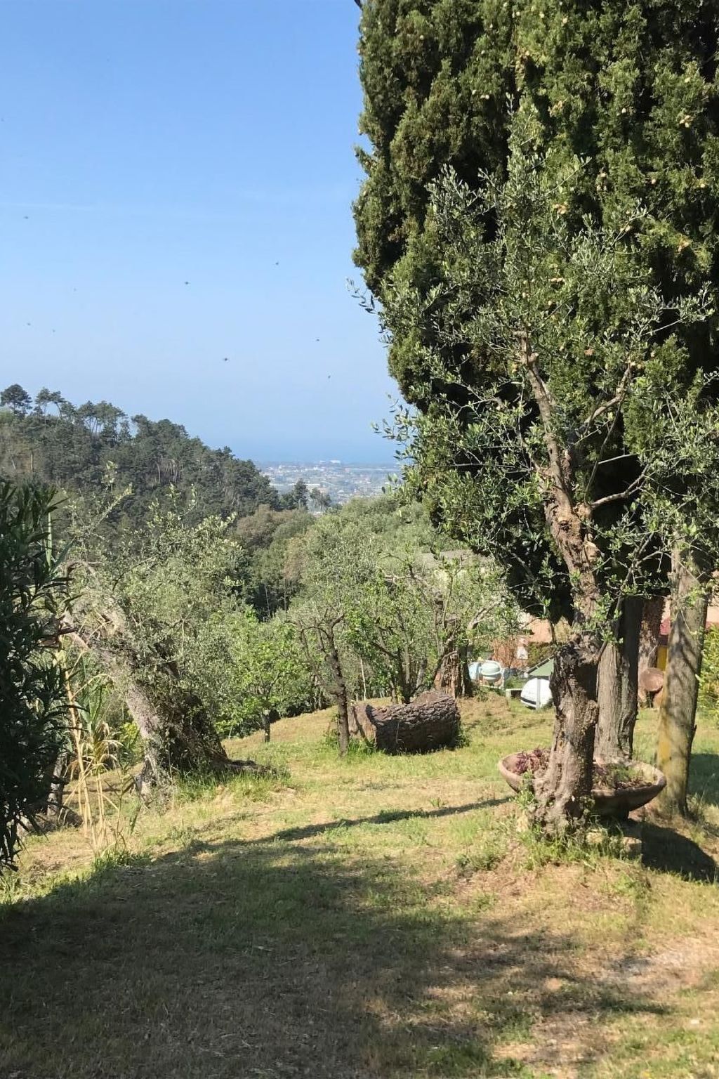 Artist's hill : appartement avec terrasse 40m² à Camaiore - Photo 24