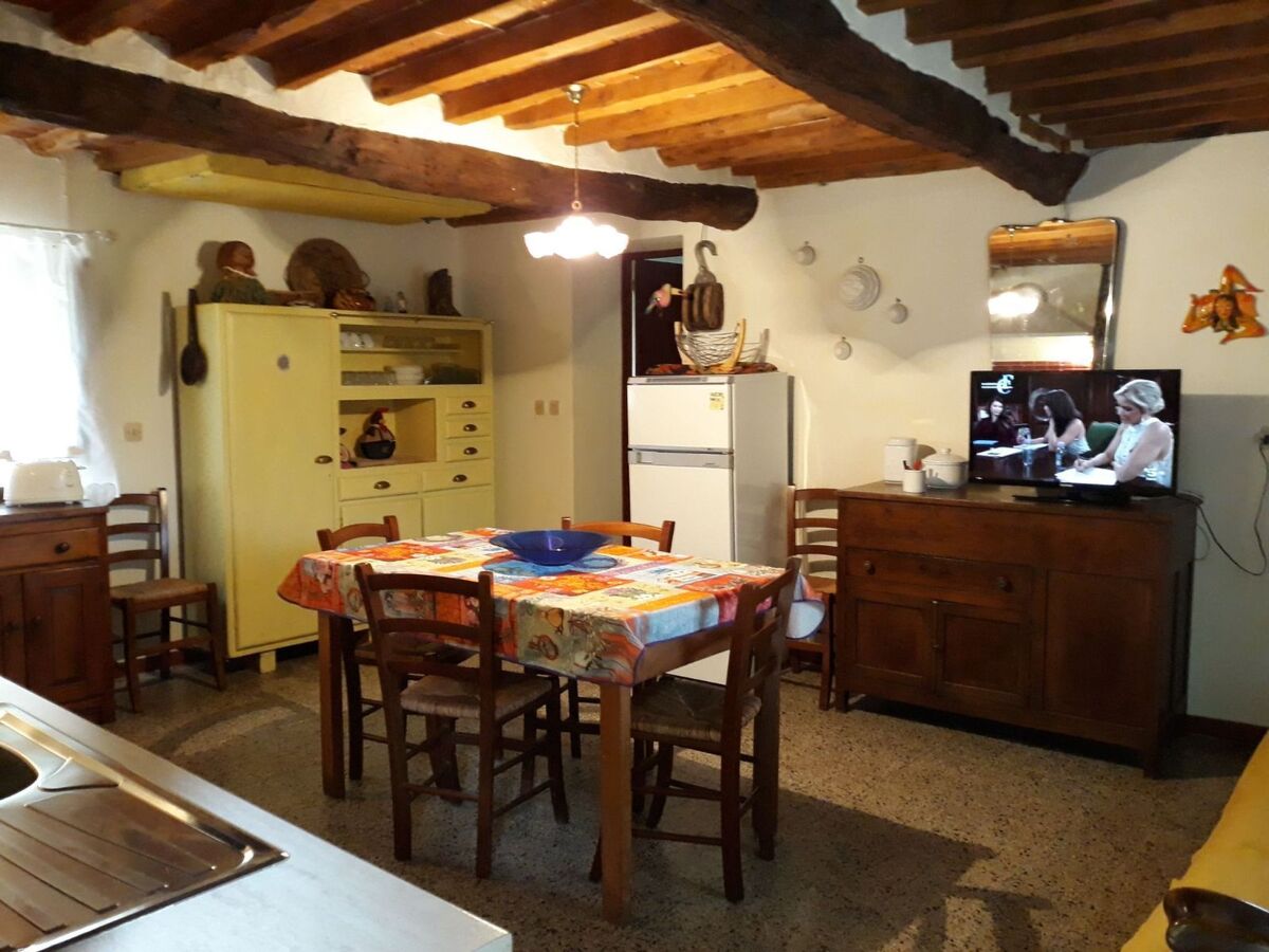 Graceland, maison de campagne à Camaiore avec jardin - Photo 13